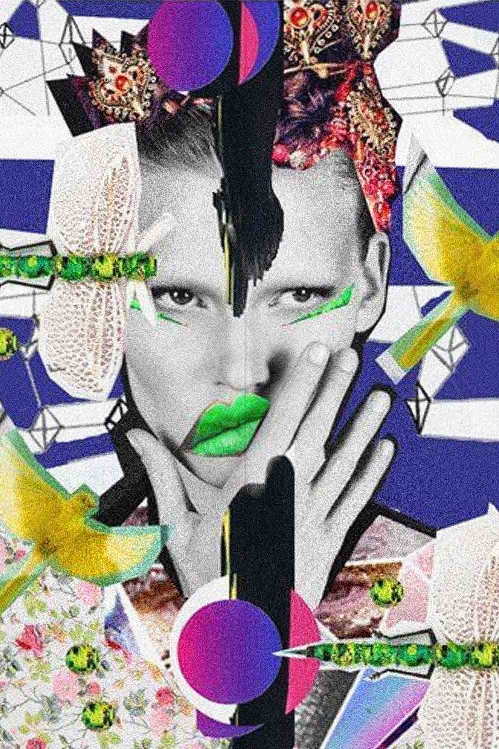 Maximalism collage featuring a black and white portrait of a person with green lips, surrounded by colorful and abstract elements including birds, geometric shapes, and botanical patterns.