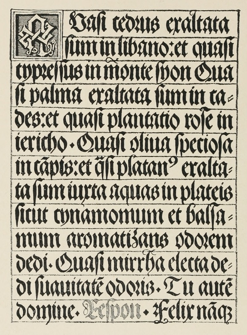 Blackletter manuscript text on a cream background with an ornate initial in the top left corner. The text is vertically and horizontally aligned, showcasing decorative elements in some characters.