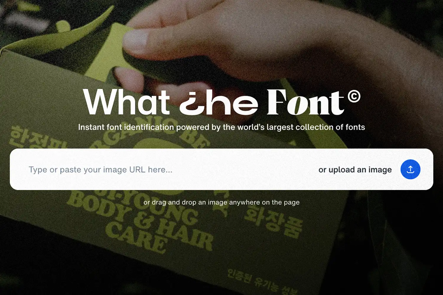 image of what 'WhatTheFont' looks like on a web browser