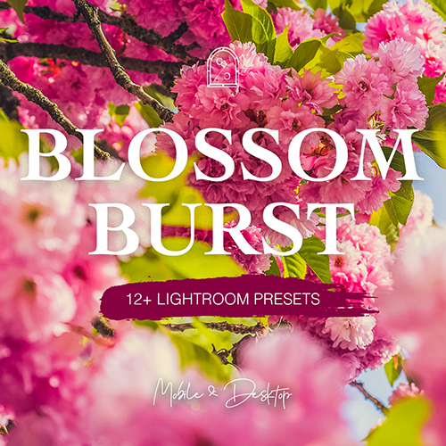 blossom burst lightroom presets