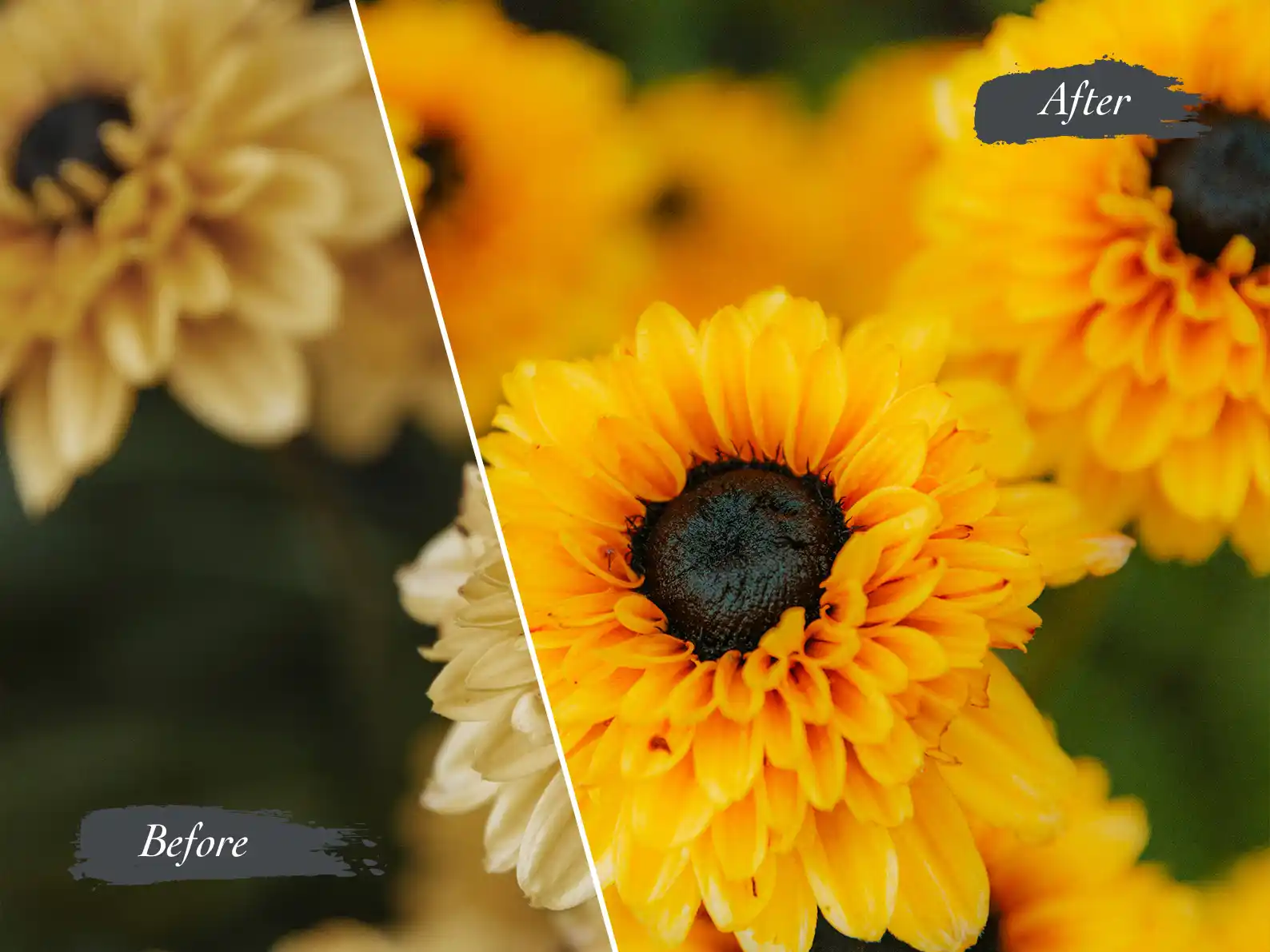 Image shows a before and after image enhancement of an arrangement of flowers