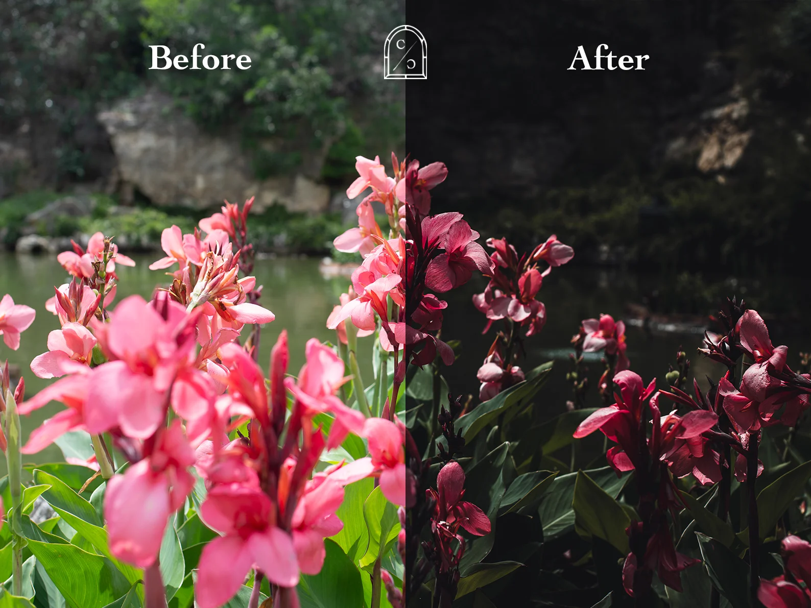 Dark Moody Preset Before and After - Transforming a Meadow of Flowers with Lightroom Presets