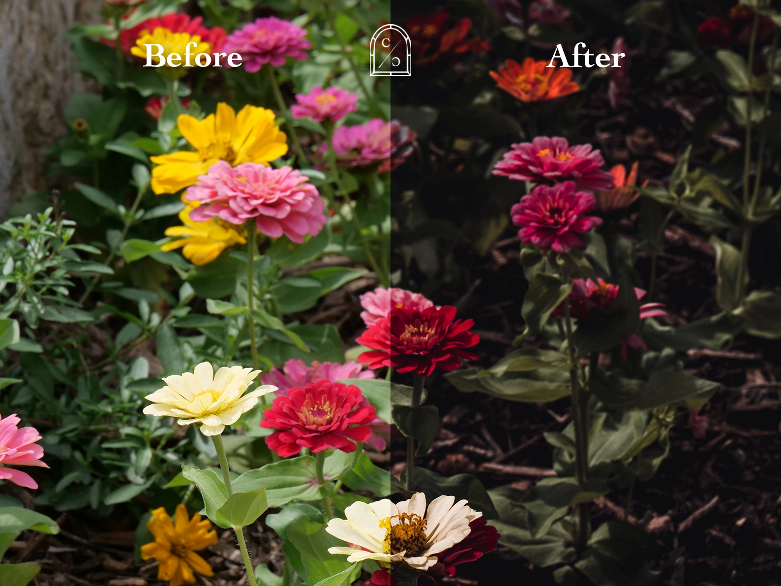 Dark Aesthetic Lightroom Preset on Flower Arrangement - Before and After Photo Transformation