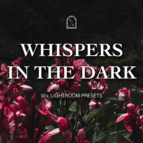 dark and moody lightroom presets