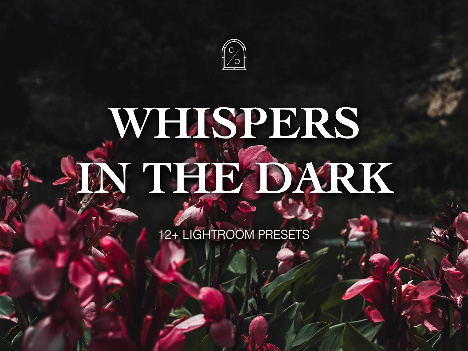 Introducing CS Whispers In The Dark